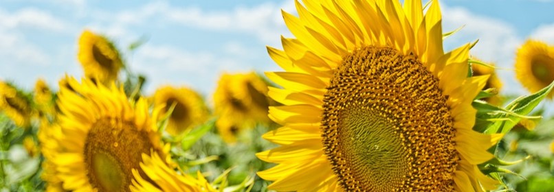 Modules de révision Première → Terminale juillet 2021